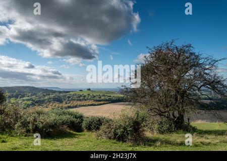 Ein Denkmal des Boer-Krieges in Südafrika steht hier mit Blick auf die Chiltern Hills und über Aylesbury Val, mit seinen sanft geschwungenen Landkreisen Stockfoto