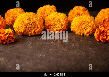 Cempasuchil orange Blüten oder Ringelblume. (Tagetes erecta) traditionell in Altären für die Feier des Tages der Toten in Mexiko verwendet Stockfoto