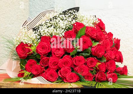 Nahaufnahme von roten Rosen. Stockfoto