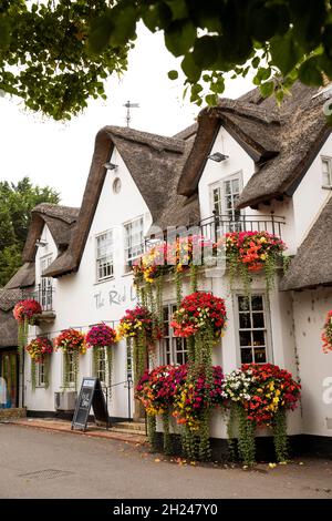 Großbritannien, England, Cambridgeshire, Cambridge, Grantchester, High Street, Blumenschmuck vor dem Red Lion Pub Stockfoto