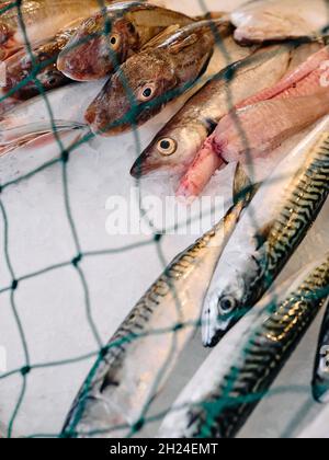 Frisch gefangener Fisch, der auf der Theke einer Frischfischhütte in Hastings mit einem Fangnetz zum Schutz vor den Möwen ausgestellt wird - Frischfischverkauf Stockfoto