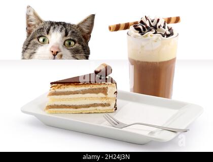 Katze, Kuchen und Kaffee auf weißem Hintergrund Stockfoto