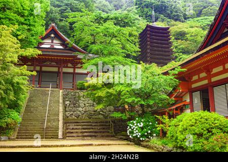 Nara, Japan - 01. Juli 2019: Tanzan Jinja Shrine Haupthalle und seltene 13-stöckige Pagode, Nara, Japan. Stockfoto