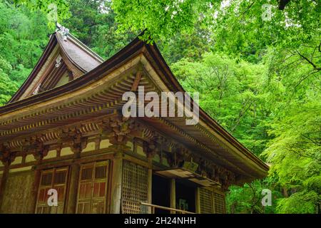 Nara, Japan - 01. Juli 2019: Muroji-Tempel Kondo Hall umgeben von Natur, Uda, Nara. Stockfoto