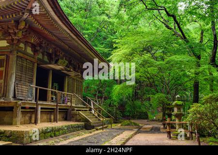 Nara, Japan - 01. Juli 2019: Muroji-Tempel-Verehrungshalle Kondo im Wald, Uda, Nara. Stockfoto