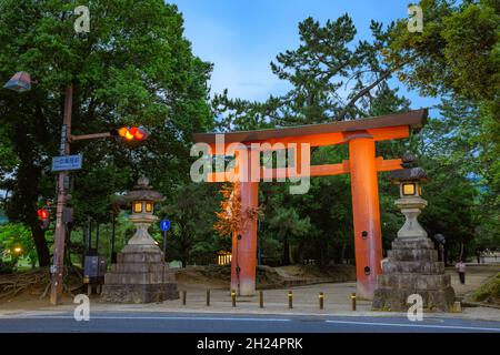 Nara, Japan - 01. Juli 2019: Rotes Torii-Tor am Eingang zum Kasuga Taisha-Schrein, Nara, Japan. Stockfoto