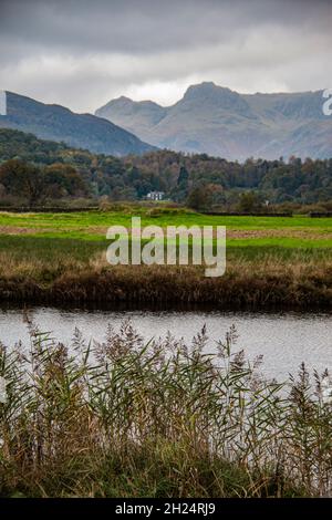 Schönes Elter Wasser, am Fluss Bratha, mit Lingmoor fiel in der Ferne, Lake District National Park, Cumbria, England, Großbritannien Stockfoto