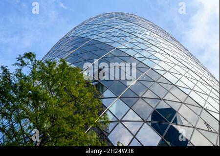 Ein Blick in den Himmel auf die geschwungene Fassade des Gherkin-Gebäudes mit einem Baum im Vordergrund in City of London, England. Stockfoto