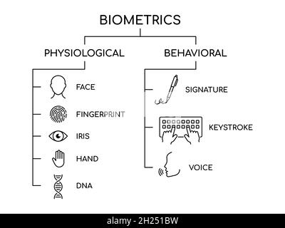 Symbol für die Linie Biometrics Types. Physiologische und verhaltensbiometrische Daten. Die einzigartigen Eigenschaften der Menschen. Identifikation und Zugangskontrolle. Vektor Stock Vektor