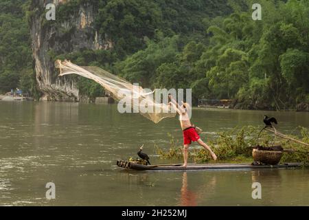 Ein Kormoran-Fischer in einem kegelförmigen Hut auf einem Bambusfloß wirft ein gegossenes Netz in den Fluss Li, Xingping, China. Stockfoto