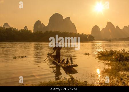 Ein Kormoran-Fischer stöcke sein Bambusfloß auf dem Li River iat Sonnenuntergang. Xingping, China. Stockfoto