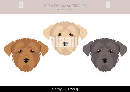 Glen of Imaal Terrier Clipart. Verschiedene Posen, Fellfarben eingestellt. Vektorgrafik Stock Vektor