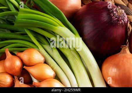 Trockene und frische Zwiebeln Nahaufnahme. Stockfoto
