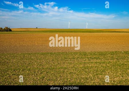 Windturbinen an einem sonnigen Tag inmitten eines Gerstenfeldes Stockfoto