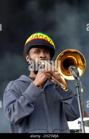 stockholm schweden - 27. Juni 2014- Bandmitglied in der Gruppe Solomonic Reggastra spielt mit Hasenjäger in schweden Stockfoto