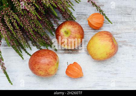 Apfel, Stachelbeere und Heidekraut liegen auf Holz Stockfoto