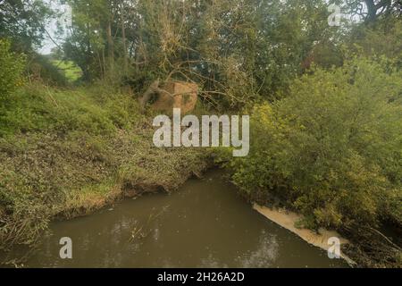 Überwuchert Typ 24 Pillbox River Eden, Relikt des Verteidigungssystems in Großbritannien aus dem zweiten Weltkrieg gebaut zwischen 1940 bis 1941 gefallenen Baumblöcken Fluss Stockfoto