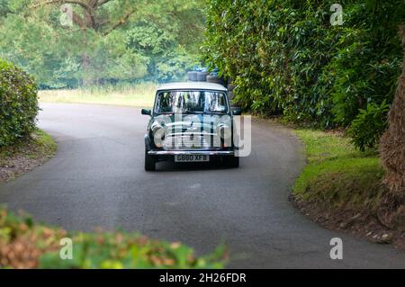 Racing Minis im Wiscombe Park Hillclimb in Devon UK. Alle sind speziell modifiziert, um den Anforderungen des Wettkampfs gegen die Uhr auf einem 900 Meter langen Sprint bergauf gerecht zu werden Stockfoto