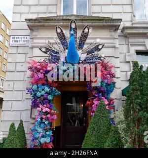 London, Greater London, England, Oktober 05 2021: Pfau vor dem Ivy Market Grill in der Henrietta Street in Covent Garden. Stockfoto