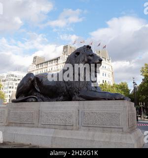 London, Greater London, England, 05 2021. Oktober: Lion Statut auf dem Trafalgar Square am Abend. Stockfoto