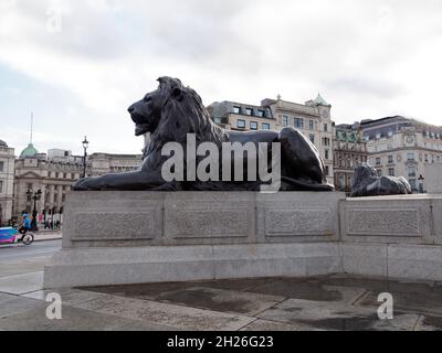 London, Greater London, England, 05 2021. Oktober: Lion Statut auf dem Trafalgar Square am Abend. Stockfoto