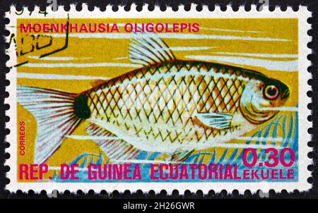 ÄQUATORIALGUINEA - UM 1975: Eine in Äquatorialguinea gedruckte Marke zeigt Glassalmler, Moenkhausia Oligolepis, Tropenfisch, um 1975 Stockfoto