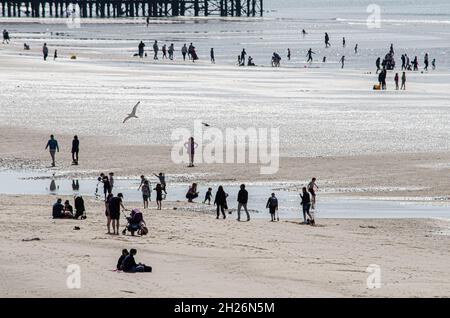 Lowry Am Strand Stockfoto