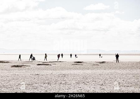 Lowry Am Strand Stockfoto