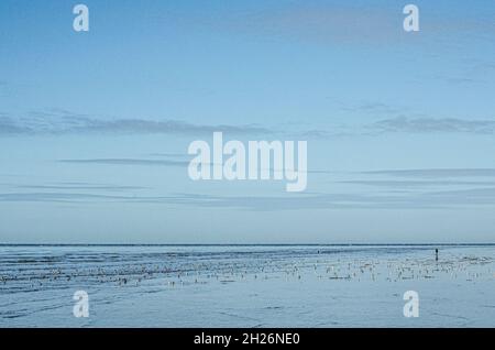 Lowry Am Strand Stockfoto