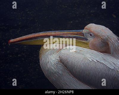 Multimediale Kunstdarstellung des großen weißen Pelikans AKA Eastern oder Rosy (Pelecanus onocrotalus) dramatische Kopf- und Schnabelschaufel aus nächster Nähe in kräftigen Zuchtfarben Stockfoto