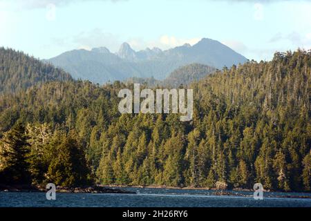 Die Küsten von Meares Island und die weit entfernten Peals des Strathcona Park, im Clayoquot Sound, in der Nähe von Tofino, Vancouver Island, British Columbia, Kanada. Stockfoto