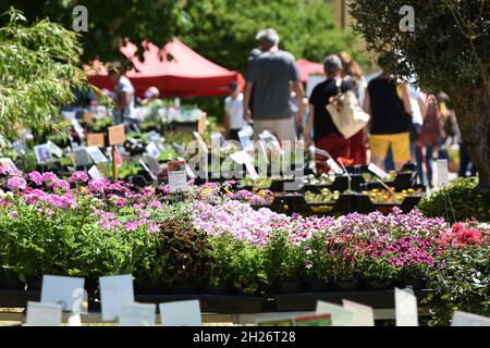 Gartenausstellung 'Gartenlust' im Schloss Bernau, Fischlham, Bezirk Wels-Land, Oberösterreich, Österreich, Europa - Gartenausstellung 'Gartenlust' in Stockfoto