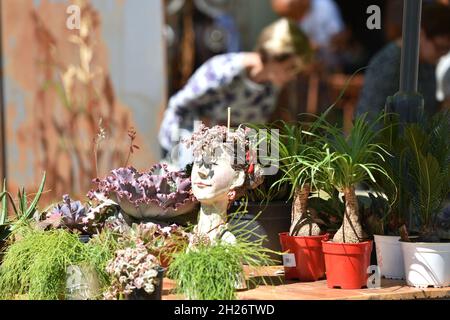 Gartenausstellung 'Gartenlust' im Schloss Bernau, Fischlham, Bezirk Wels-Land, Oberösterreich, Österreich, Europa - Gartenausstellung 'Gartenlust' in Stockfoto