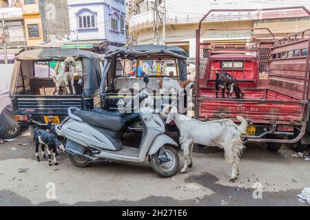 UDAIPUR, INDIEN - 14. FEBRUAR 2017: Ziegen und Fahrzeuge in Udaipur, Rajasthan Staat, Indien Stockfoto