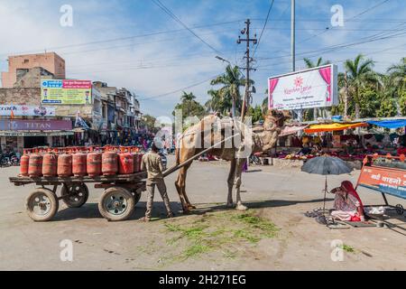 CHITTORGARH, INDIEN - 15. FEBRUAR 2017: Kamel zieht Gasflaschen in Chittorgarh, Rajasthan, Indien Stockfoto