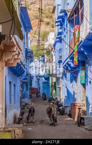 BUNDI, INDIEN - 16. FEBRUAR 2017: Straße mit typischen blauen Häusern in Bundi, Rajasthan Staat, Indien Stockfoto