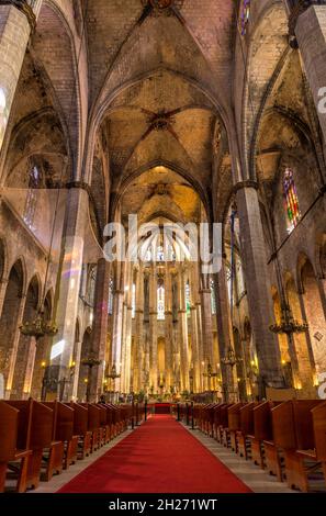 Innenraum von Santa Maria del Mar - Morgensonne scheint durch Buntglasfenster in die Kirche "Heilige Maria vom Meer" aus dem 14. Jahrhundert. Barcelona. Stockfoto