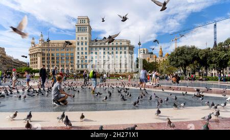 Plaza de Catalunya - Touristen spielen gerne mit einer Taubenschar an einem sonnigen Herbstabend auf der Plaza de Catalunya im Zentrum von Barcelona. Stockfoto