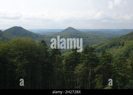 Panoramablick über den Pfälzer Wald und die Vogesen von der Ruine der mittelalterlichen Festung Lützelhardt, Schloss de Lutzelhardt nahe der deutsch-französischen Grenze Stockfoto