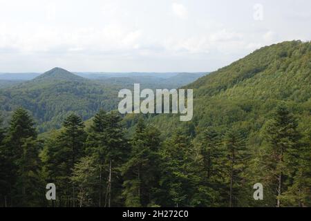 Panoramablick über den Pfälzer Wald und die Vogesen von der Ruine der mittelalterlichen Festung Lützelhardt, Schloss de Lutzelhardt nahe der deutsch-französischen Grenze Stockfoto