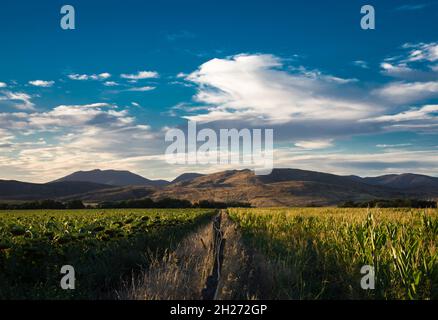 Wunderschöne Landschaft der Sierra de la Ventana in Argentinien Stockfoto