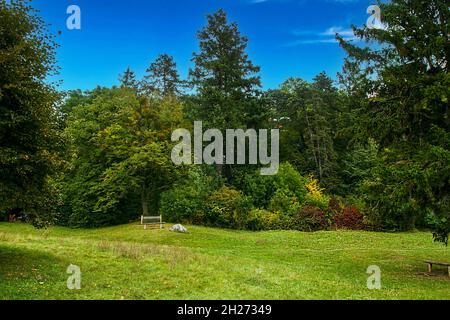 10-13-2021 Smolenice, Slowakei die Burg Smolenice - Eine Burg am östlichen Hang der Kleinen Karpaten, in der Nähe der Stadt Smolenice, Slowakei. Stockfoto