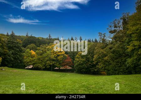 10-13-2021 Smolenice, Slowakei die Burg Smolenice - Eine Burg am östlichen Hang der Kleinen Karpaten, in der Nähe der Stadt Smolenice, Slowakei. Stockfoto