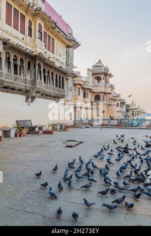 Tauben bei Gangaur Ghat in Udaipur, Rajasthan Staat, Indien Stockfoto