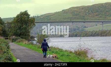 Glasgow, Schottland, Großbritannien, 20. Oktober 2021. Wetter in Großbritannien: Regen brachte Wintergefühle hervor, als die Einheimischen an einem bewölkten Tag mit Regen und Sonnenschein über der erskine-Brücke und dem Fluss clyde, der vom lokalen Naturreservat von Newshot Island aus geschossen wurde, zu kämpfen hatten ... Quelle: Gerard Ferry/Alamy Live News Stockfoto