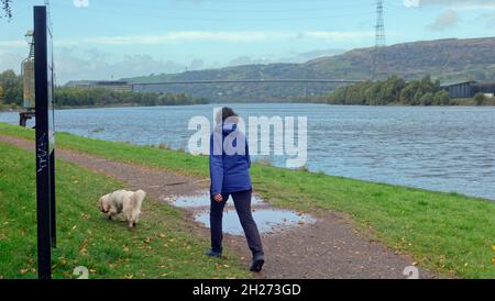 Glasgow, Schottland, Großbritannien, 20. Oktober 2021. Wetter in Großbritannien: Regen brachte Wintergefühle hervor, als die Einheimischen an einem bewölkten Tag mit Regen und Sonnenschein über der erskine-Brücke und dem Fluss clyde, der vom lokalen Naturreservat von Newshot Island aus geschossen wurde, zu kämpfen hatten ... Quelle: Gerard Ferry/Alamy Live News Stockfoto