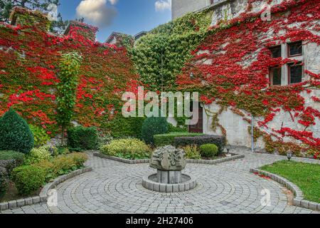 10-13-2021 Smolenice, Slowakei die Burg Smolenice - Eine Burg am östlichen Hang der Kleinen Karpaten, in der Nähe der Stadt Smolenice, Slowakei. Stockfoto