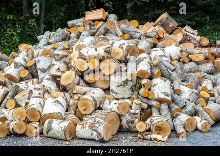 Großer Haufen zufällig geschleudert Brennholz aus Birkenstämmen verschiedener Größen. Stockfoto