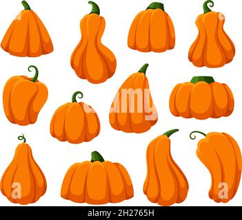 Cartoon-Kürbisse. Isolierter Kürbis, Herbsternte frische Kürbisse. Happy halloween und Thanksgiving Zeit Symbole, orange Fall Squash garish Vektor-Set Stock Vektor