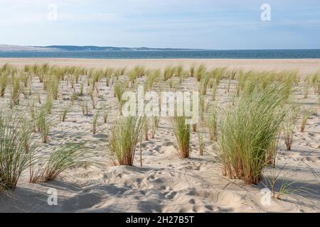 Der Blick von der Naturschutzspitze des Cap Ferret über das Bassin d'Arcachon zur Düne du Pilat, Europas größte Düne. Stockfoto